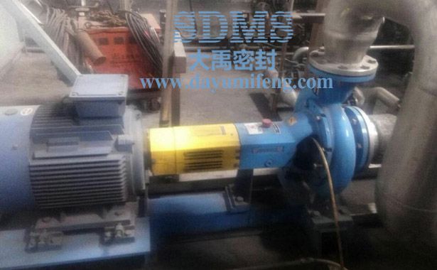 安德里茲泵機械密封使用現場