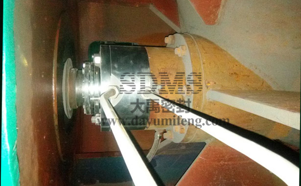 冷凝泵NLT500-570×4S機械密封現場使用照片